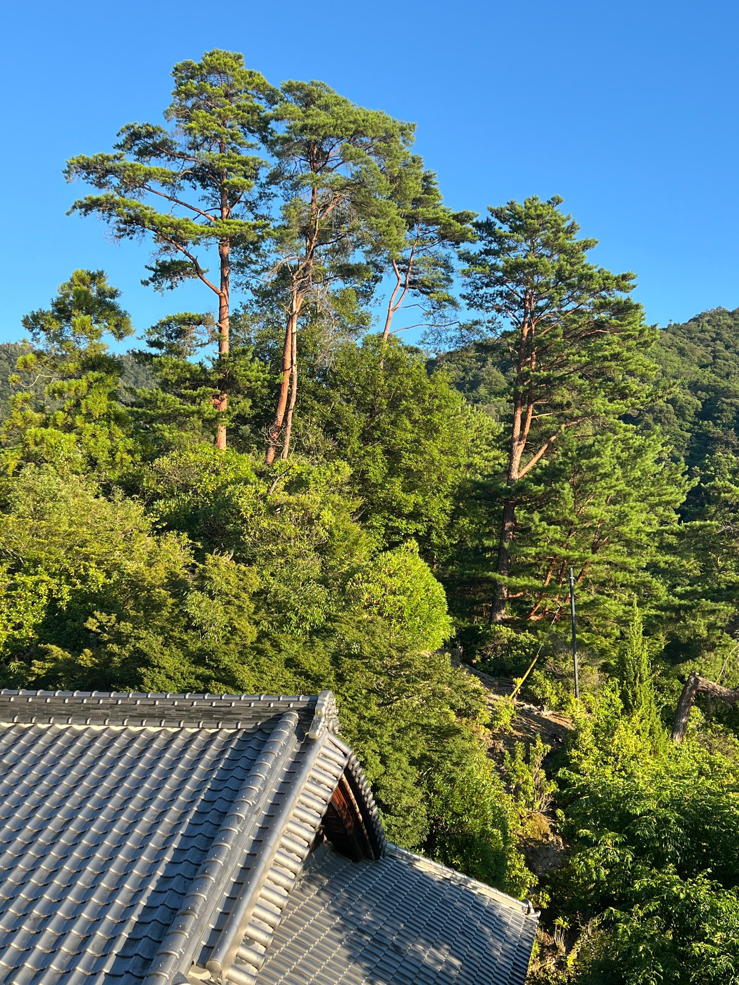 View from our 4th floor room