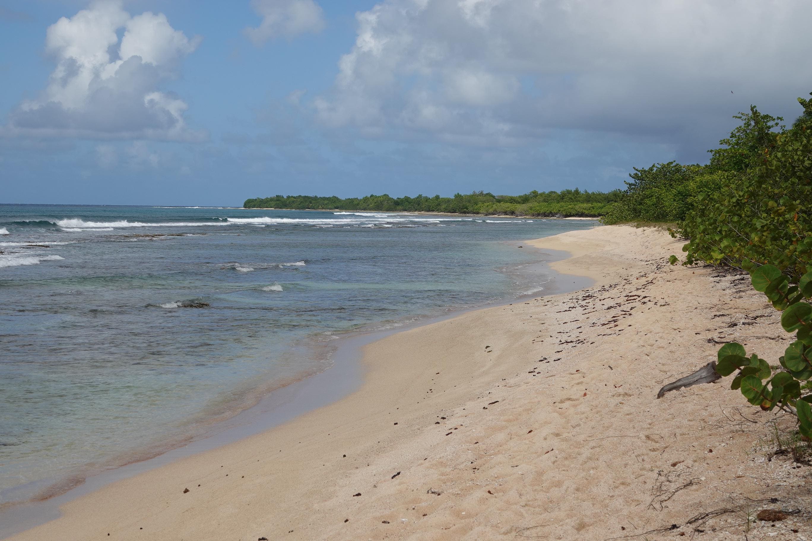 Côte vers Anse-Bertrand