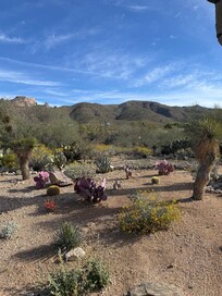 Photo of home in the background during one of our many morning walks.