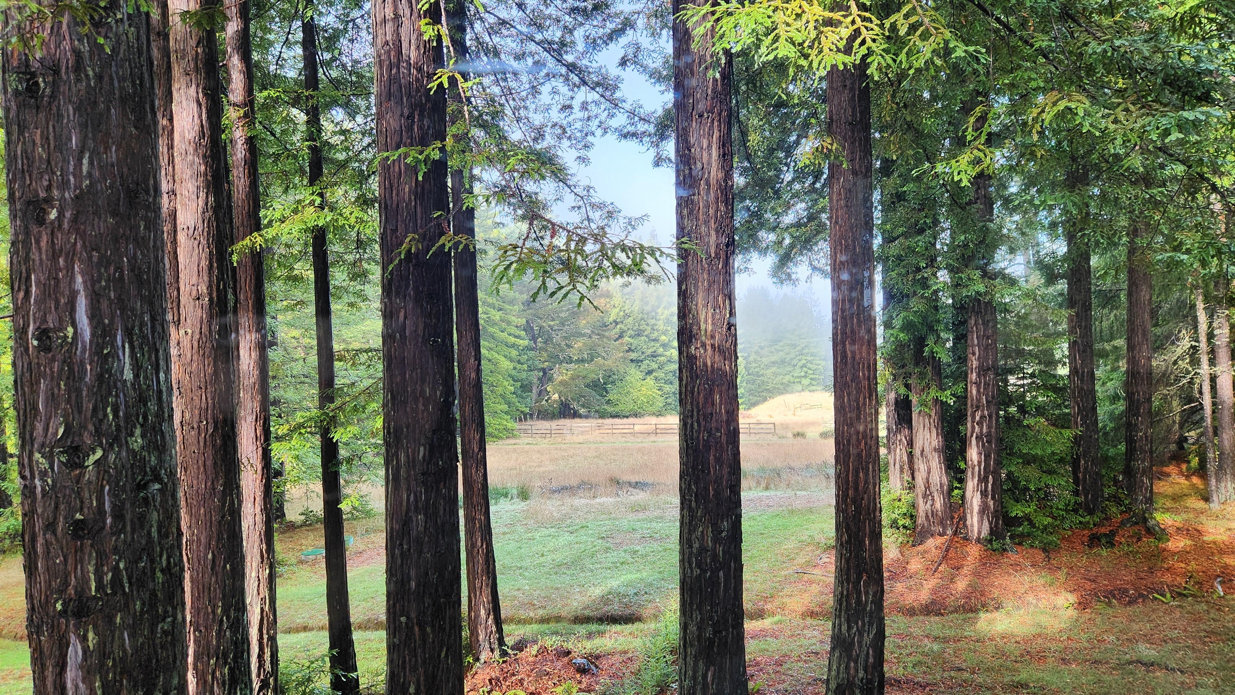 The view from the west side of the home