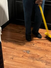 Sweeping up dog food