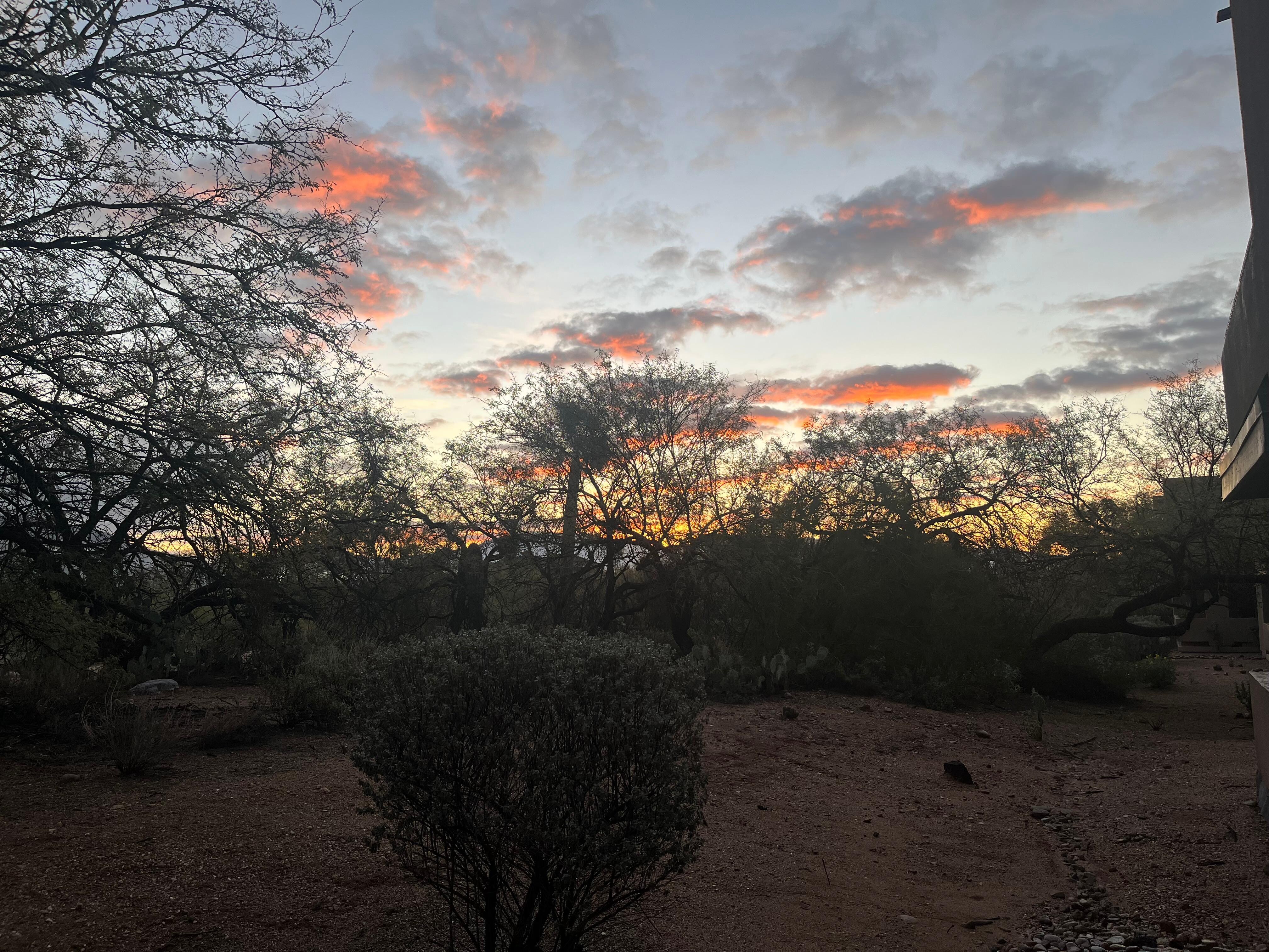 View from back patio 