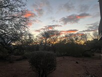 View from back patio