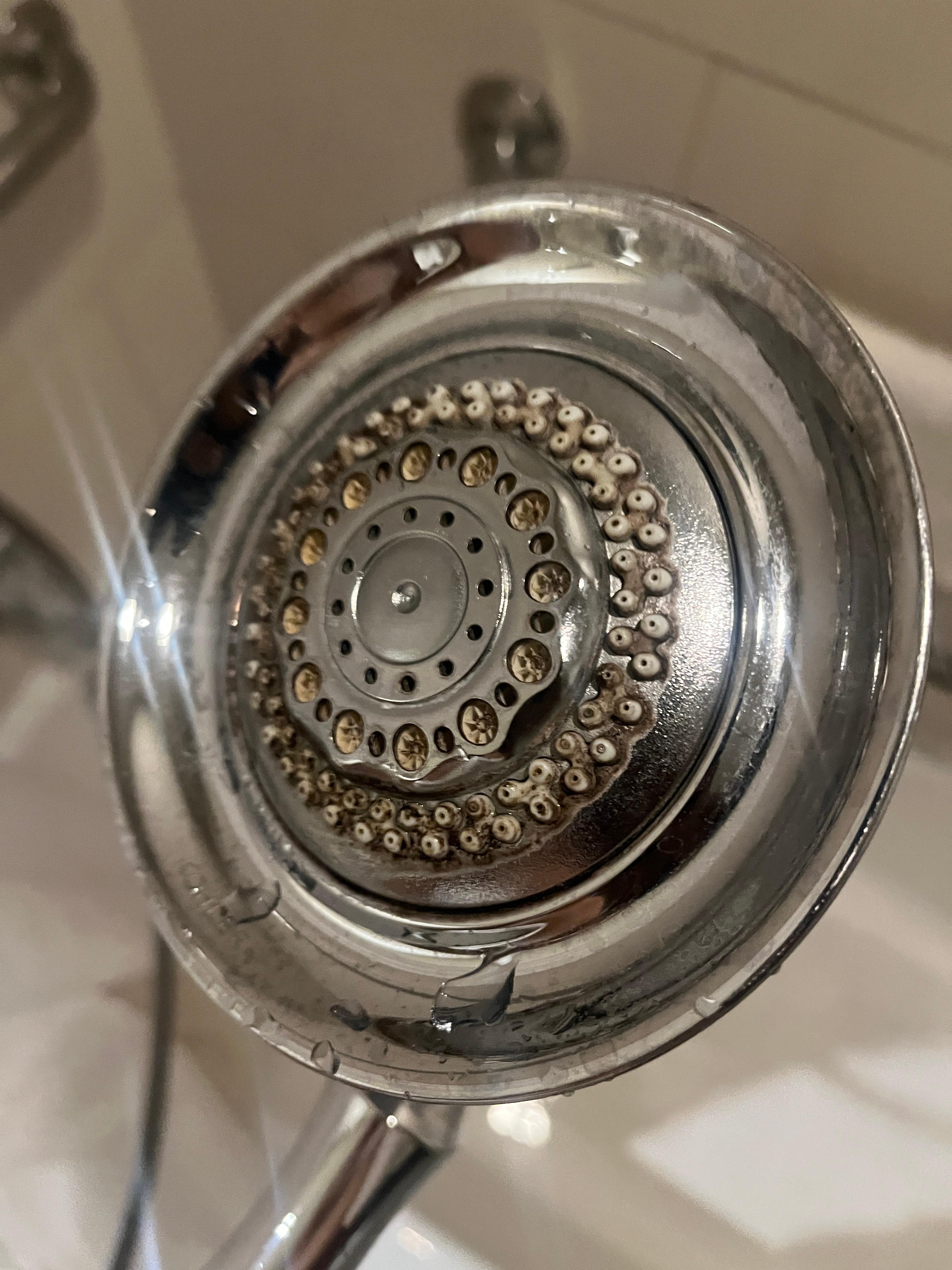 Dirty showerhead