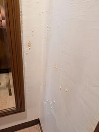 Mold on the room wall