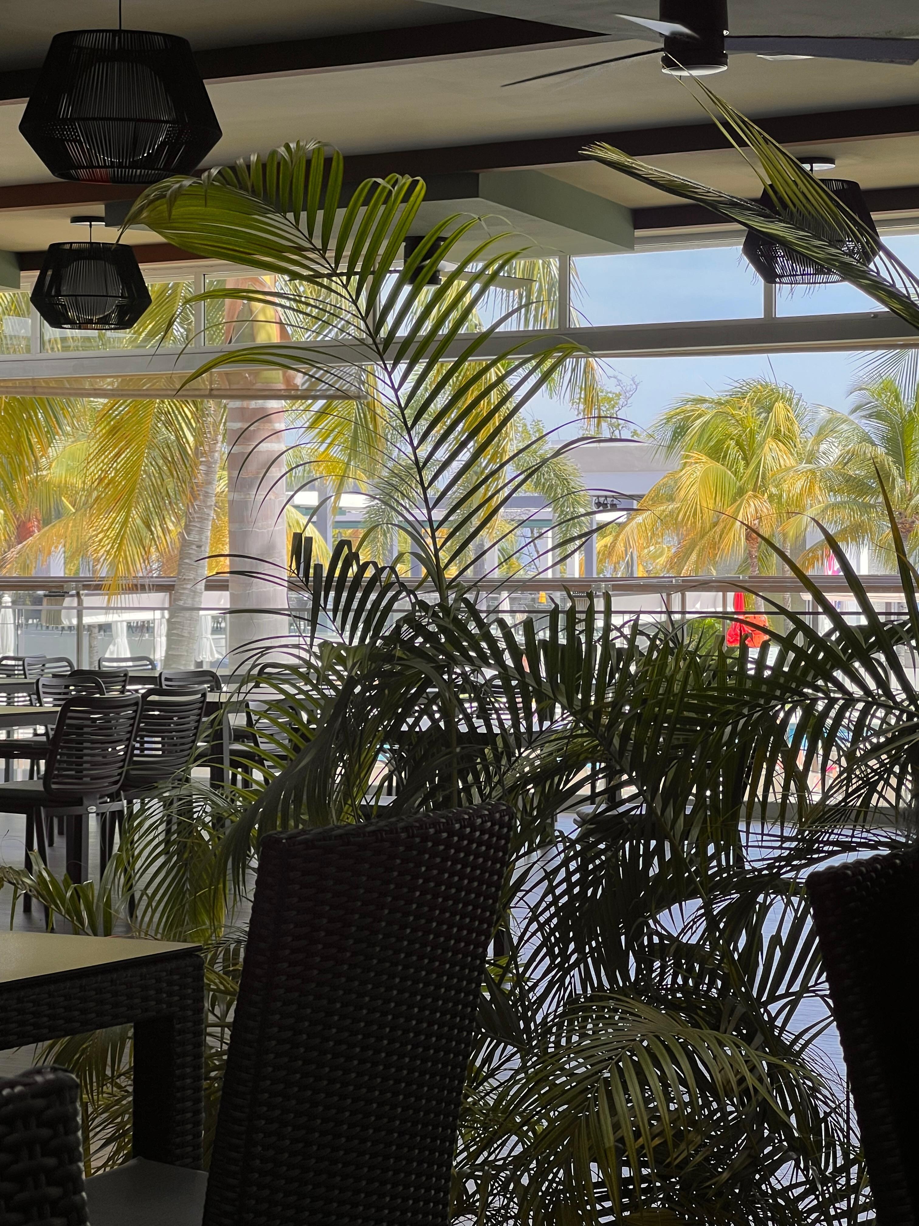 Common eating area