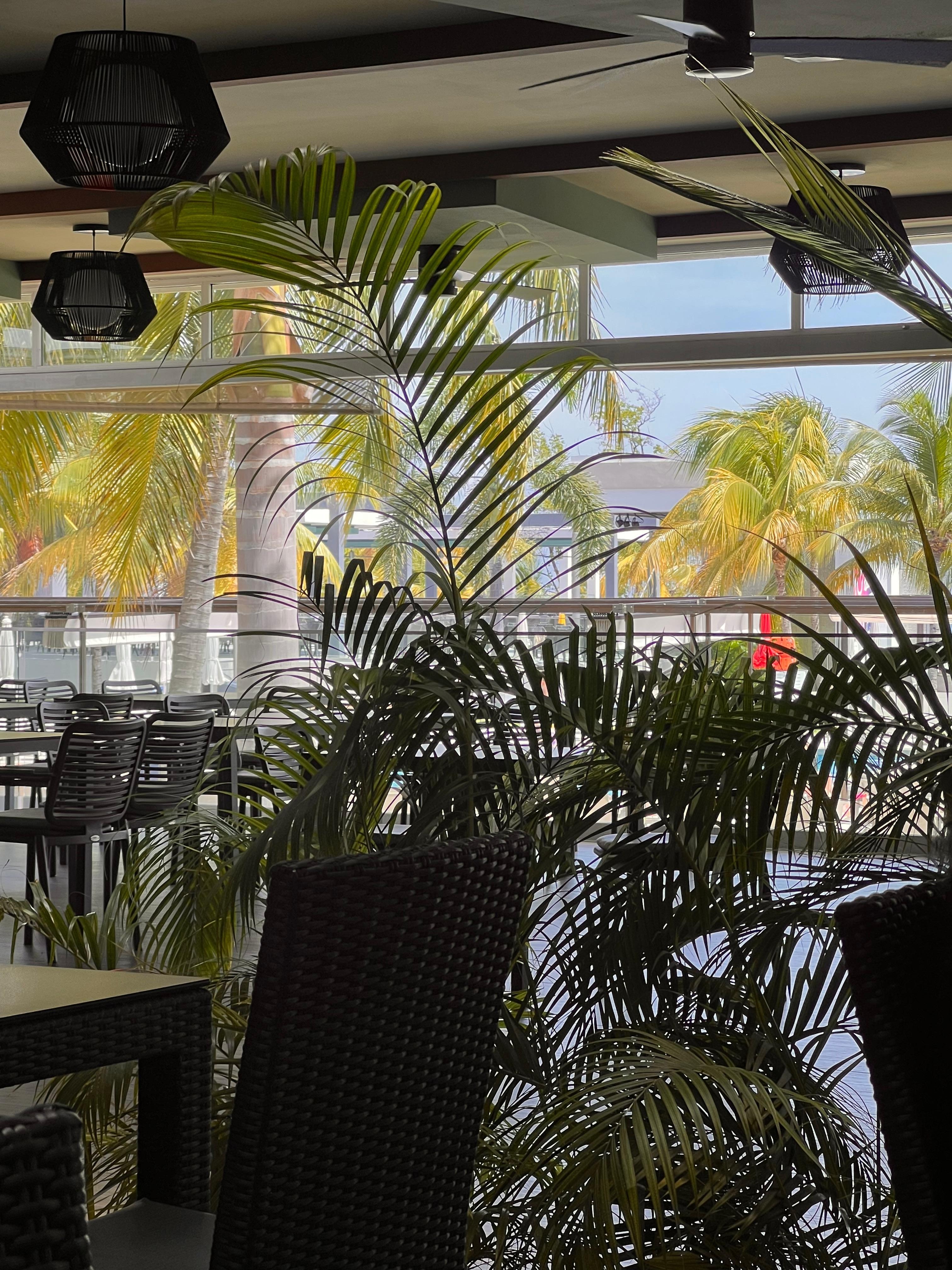 Common eating area