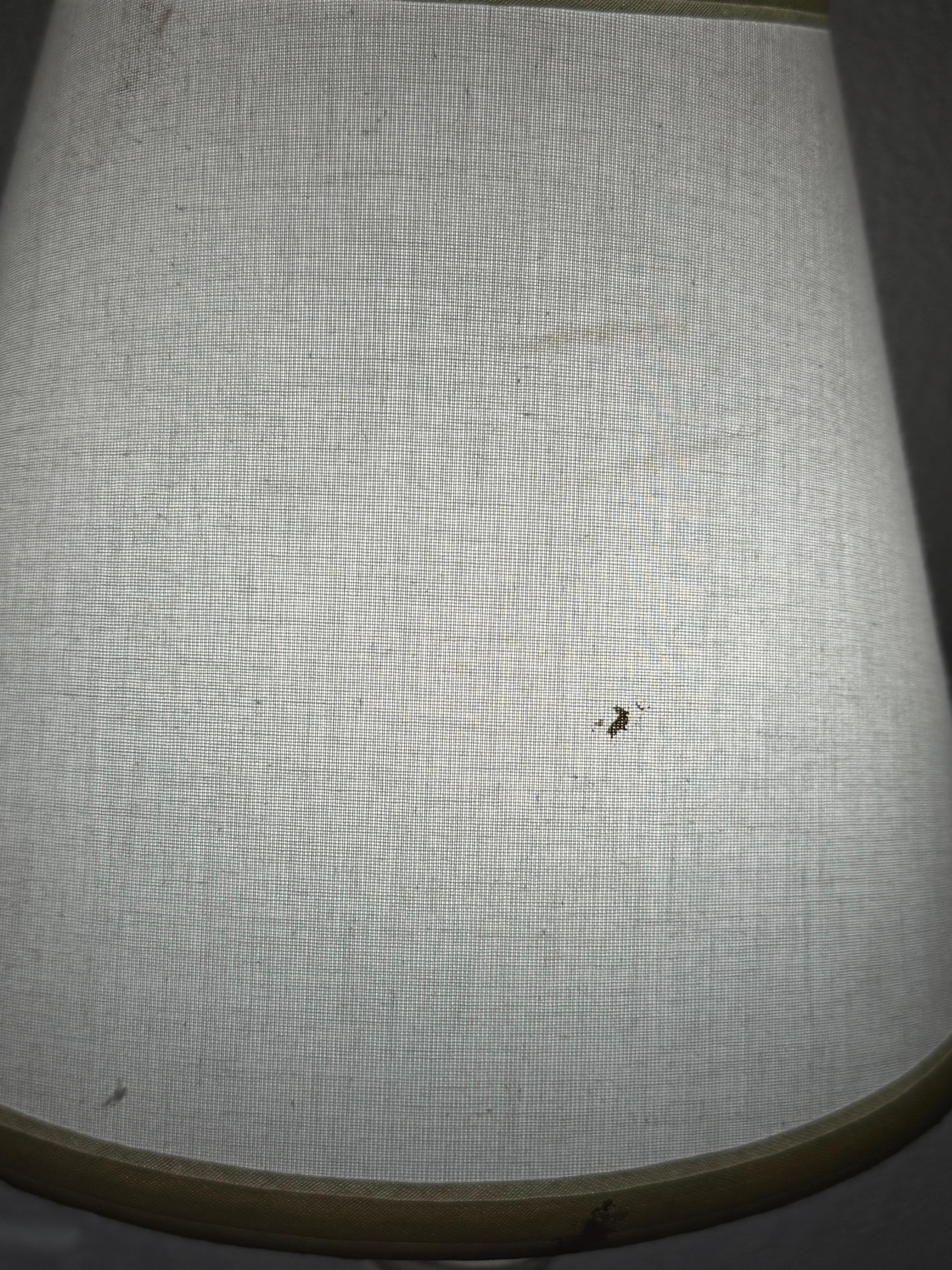 Lamp shade stain and paint