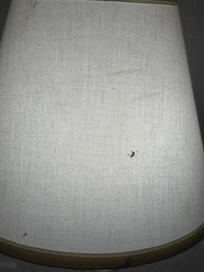 Lamp shade stain and paint