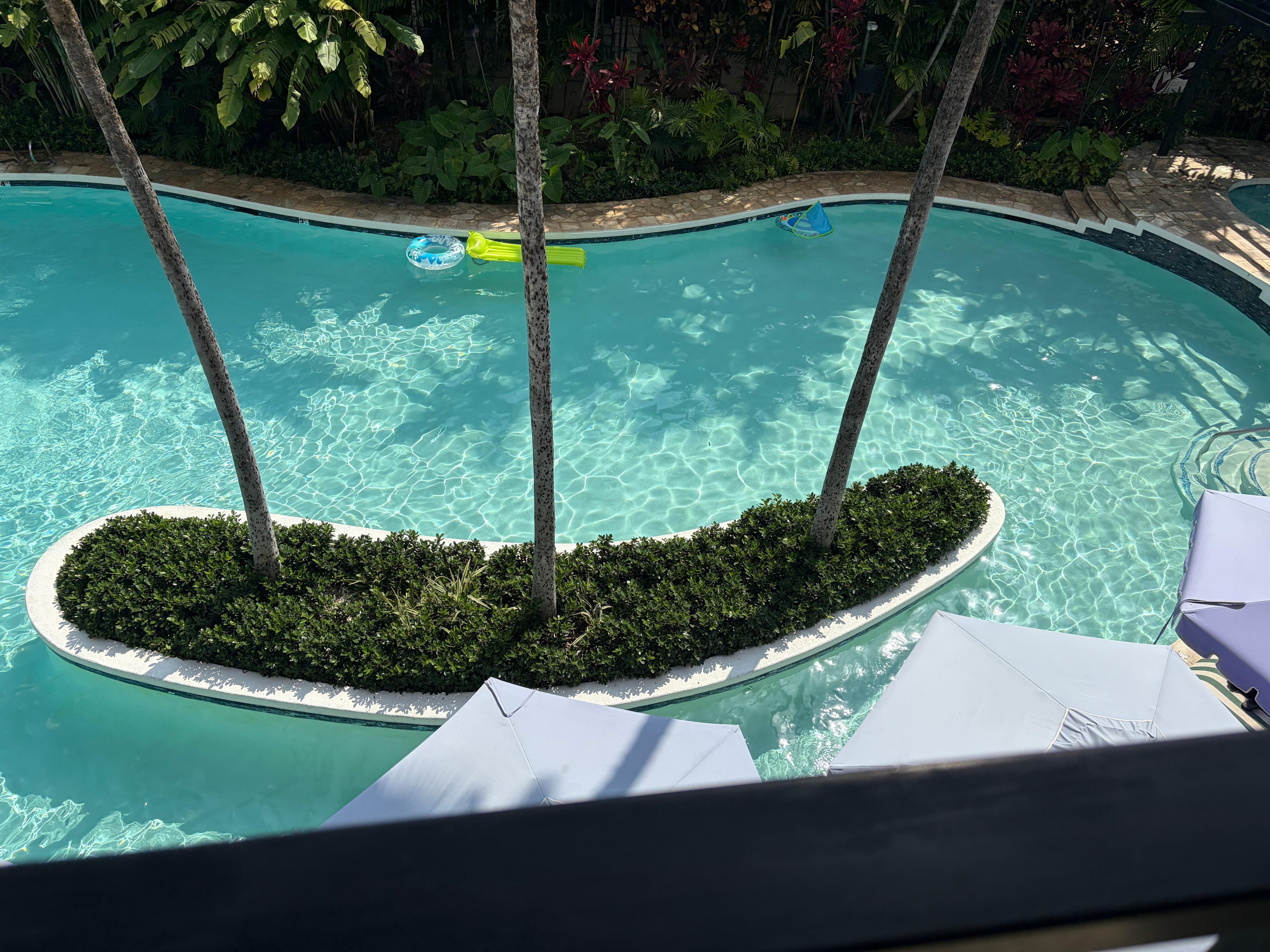 Poolside room view