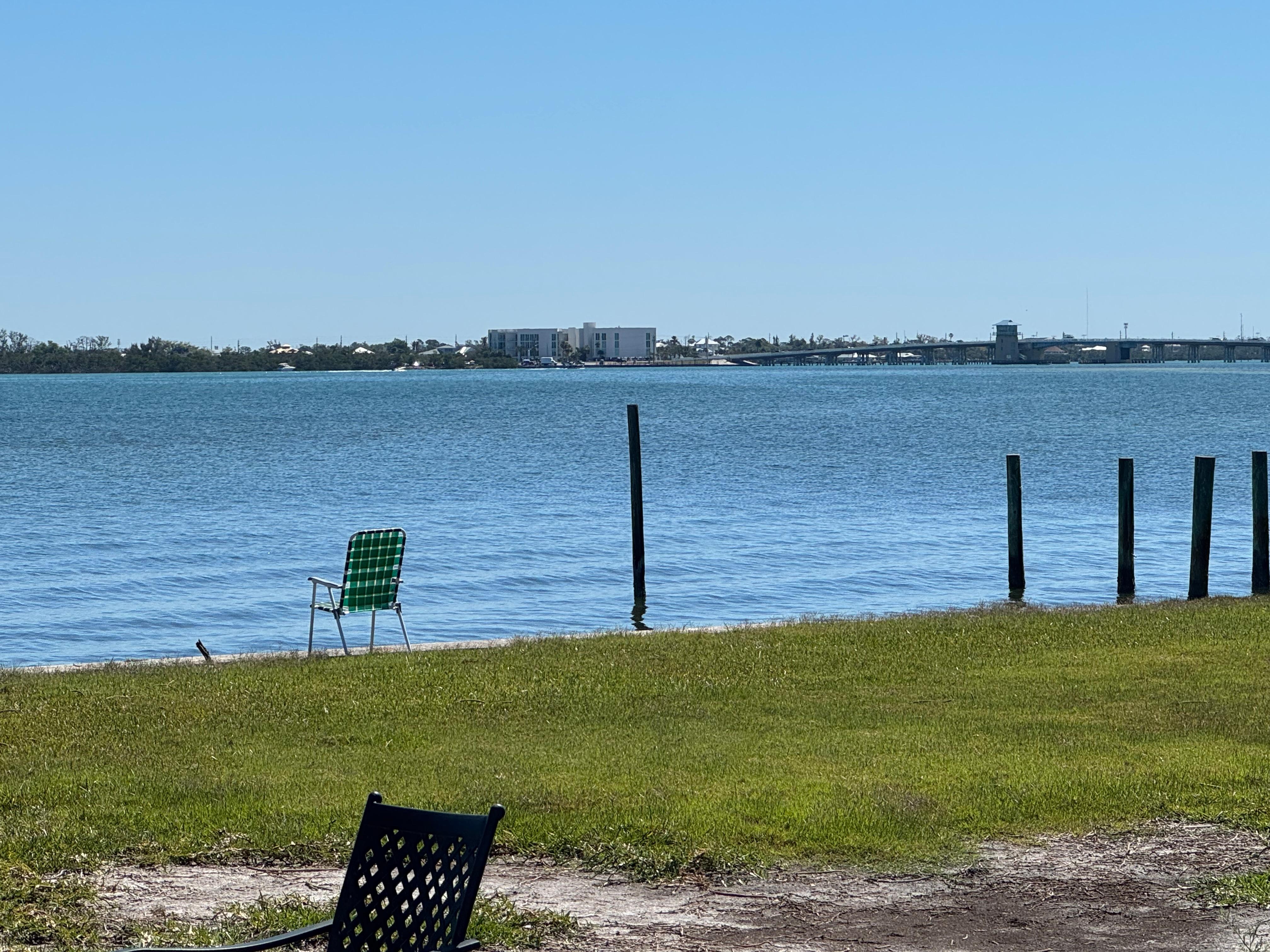 View from the back yard 