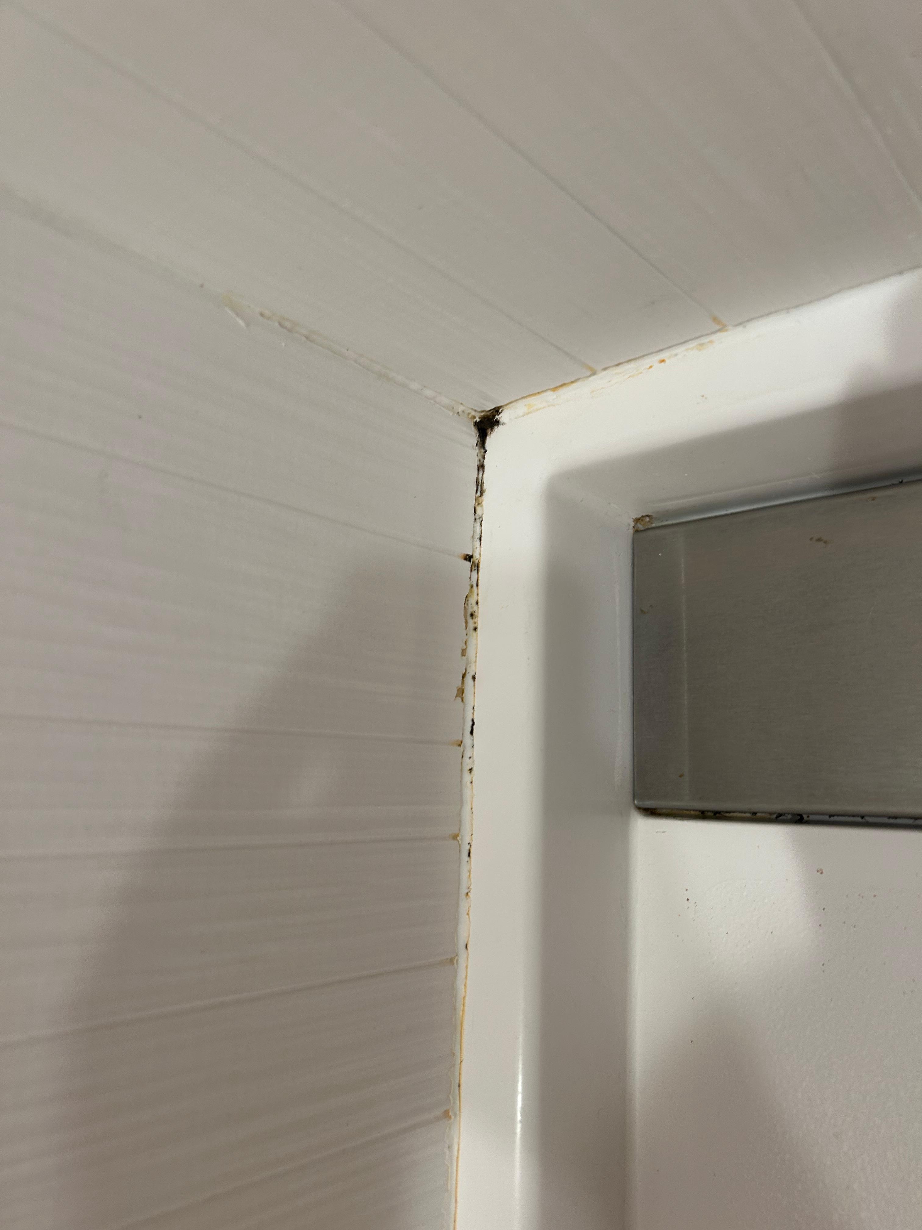 Mold on the shower 
