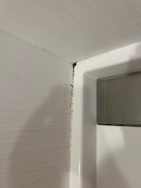 Mold on the shower