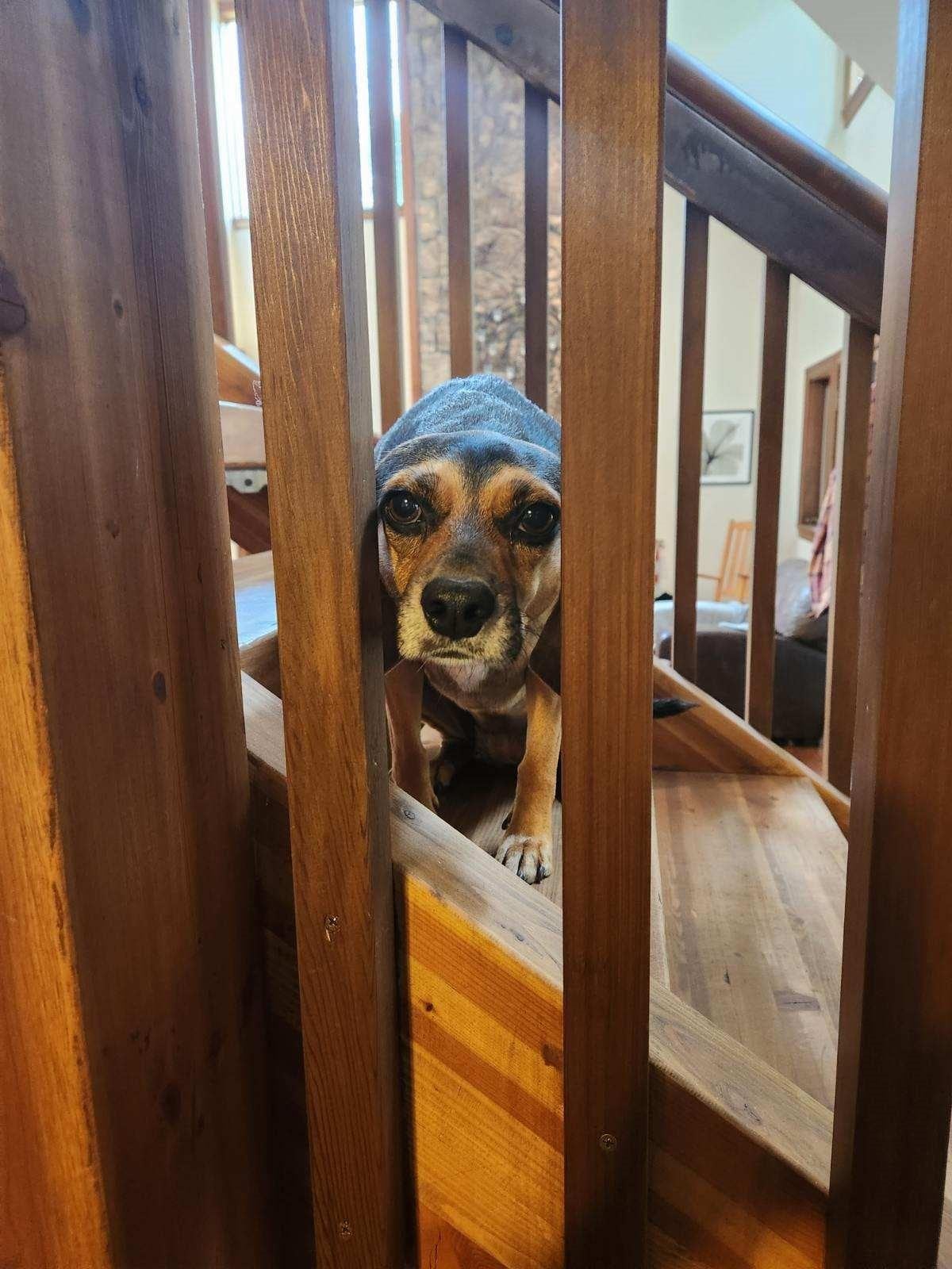 Izzy watched out pool competition.  