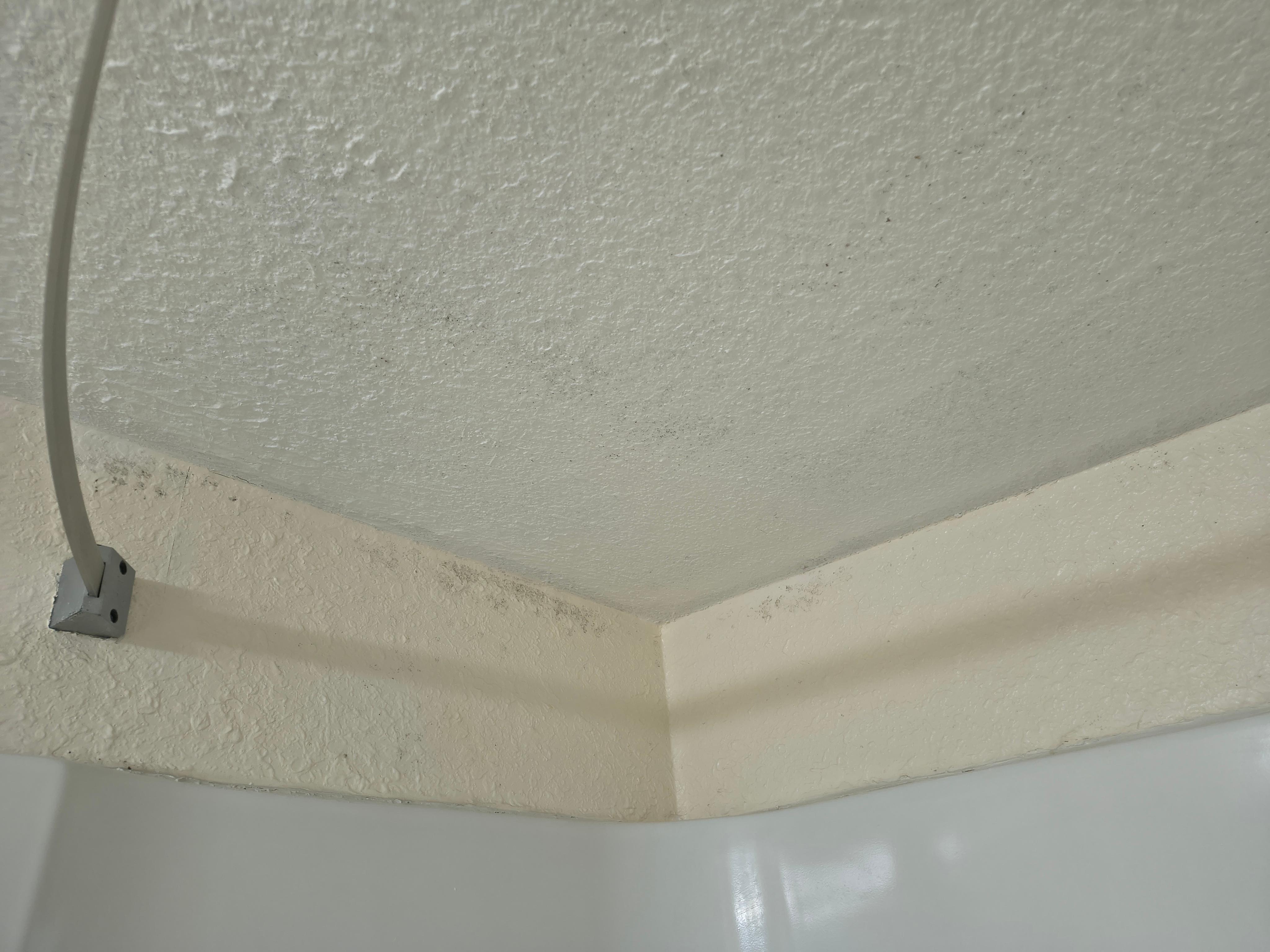Bathroom ceiling and wall mold