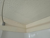 Bathroom ceiling and wall mold