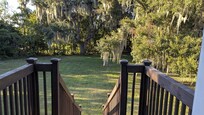 A view from the back deck
