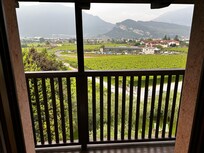 Blick in die Gardasee Berge über die Weinberge