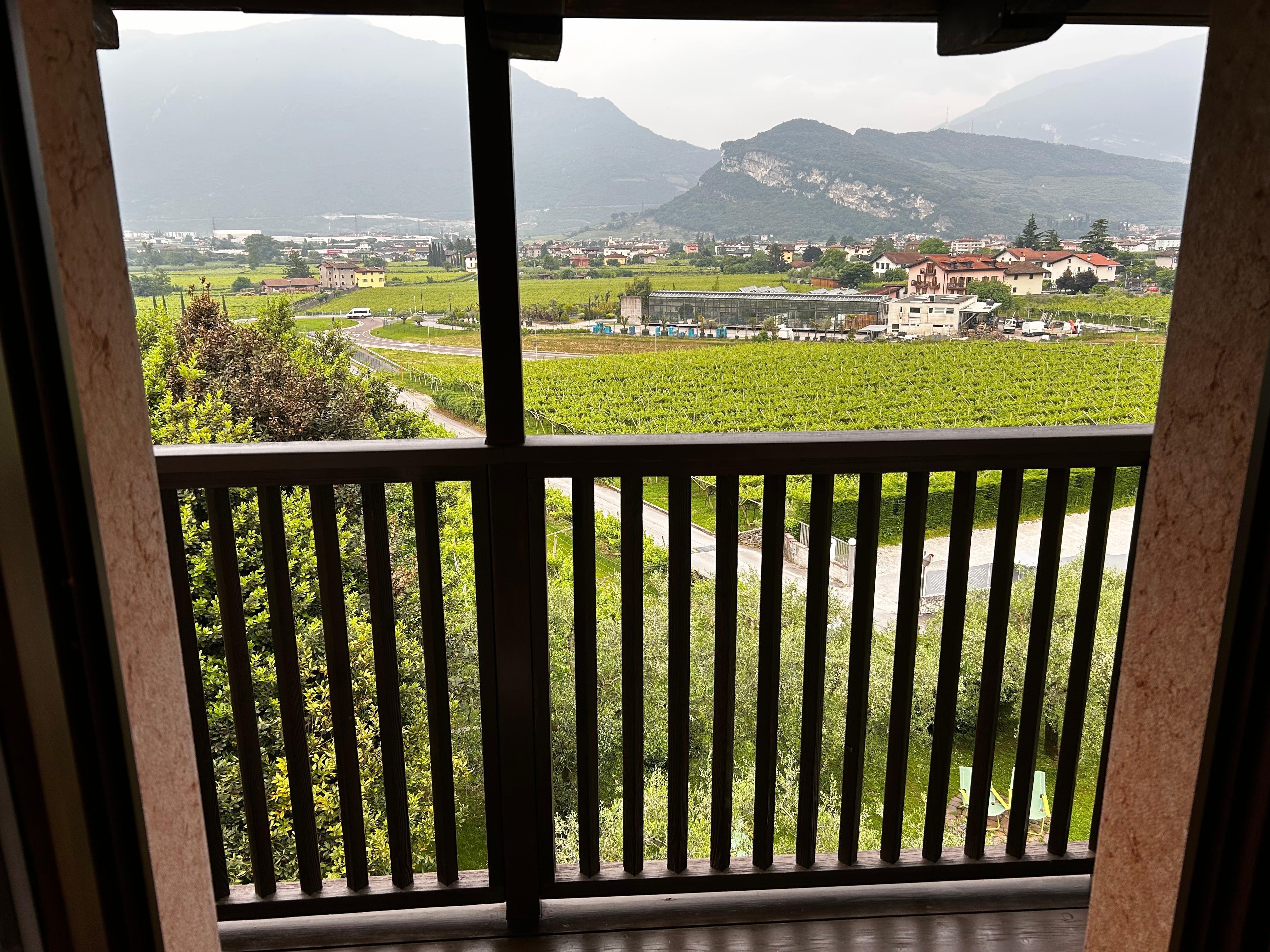 Blick in die Gardasee Berge über die Weinberge