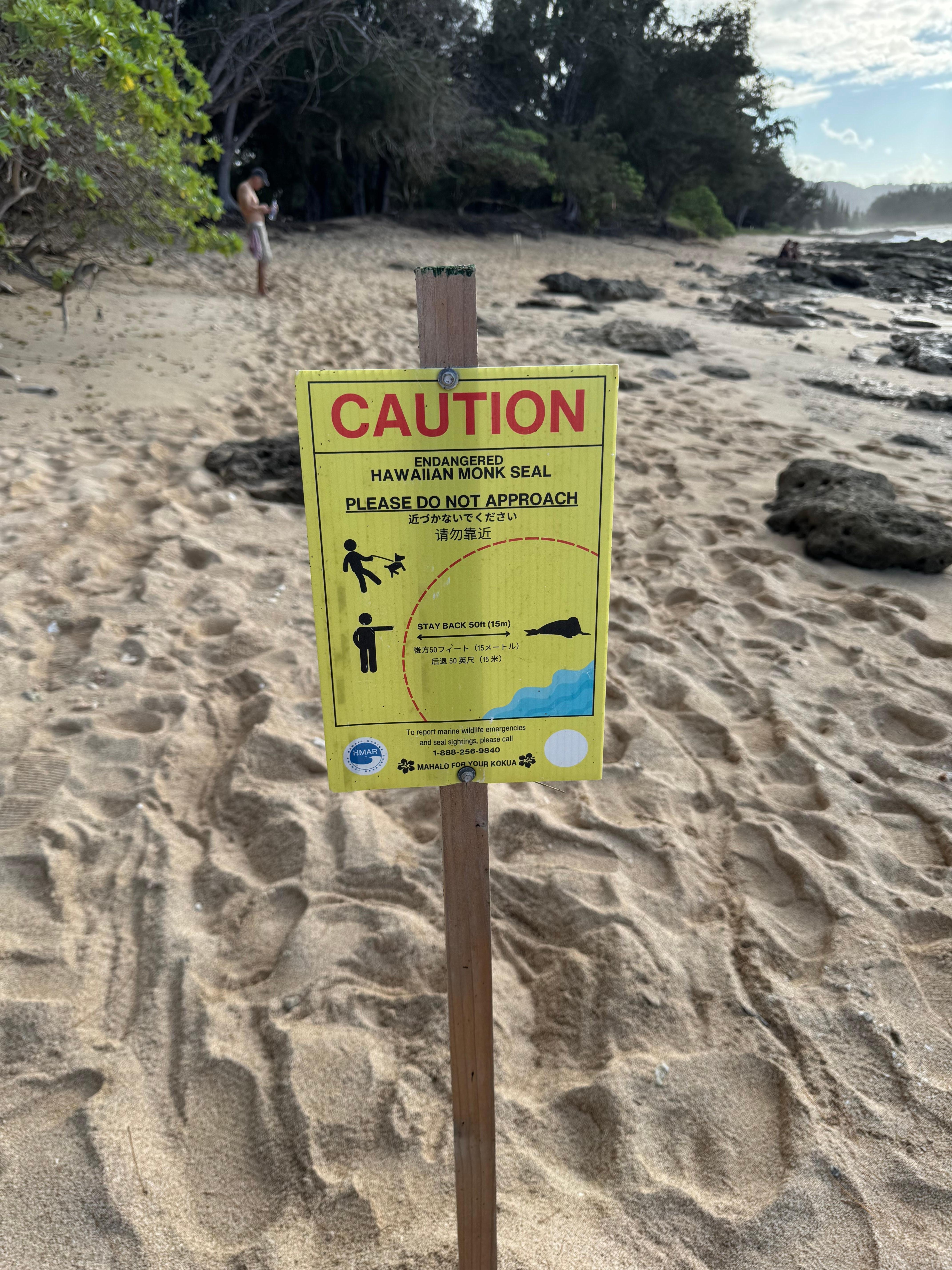 Hawaiian Monk Seal area - on the beach walking trail!