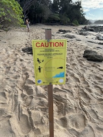 Hawaiian Monk Seal area - on the beach walking trail!