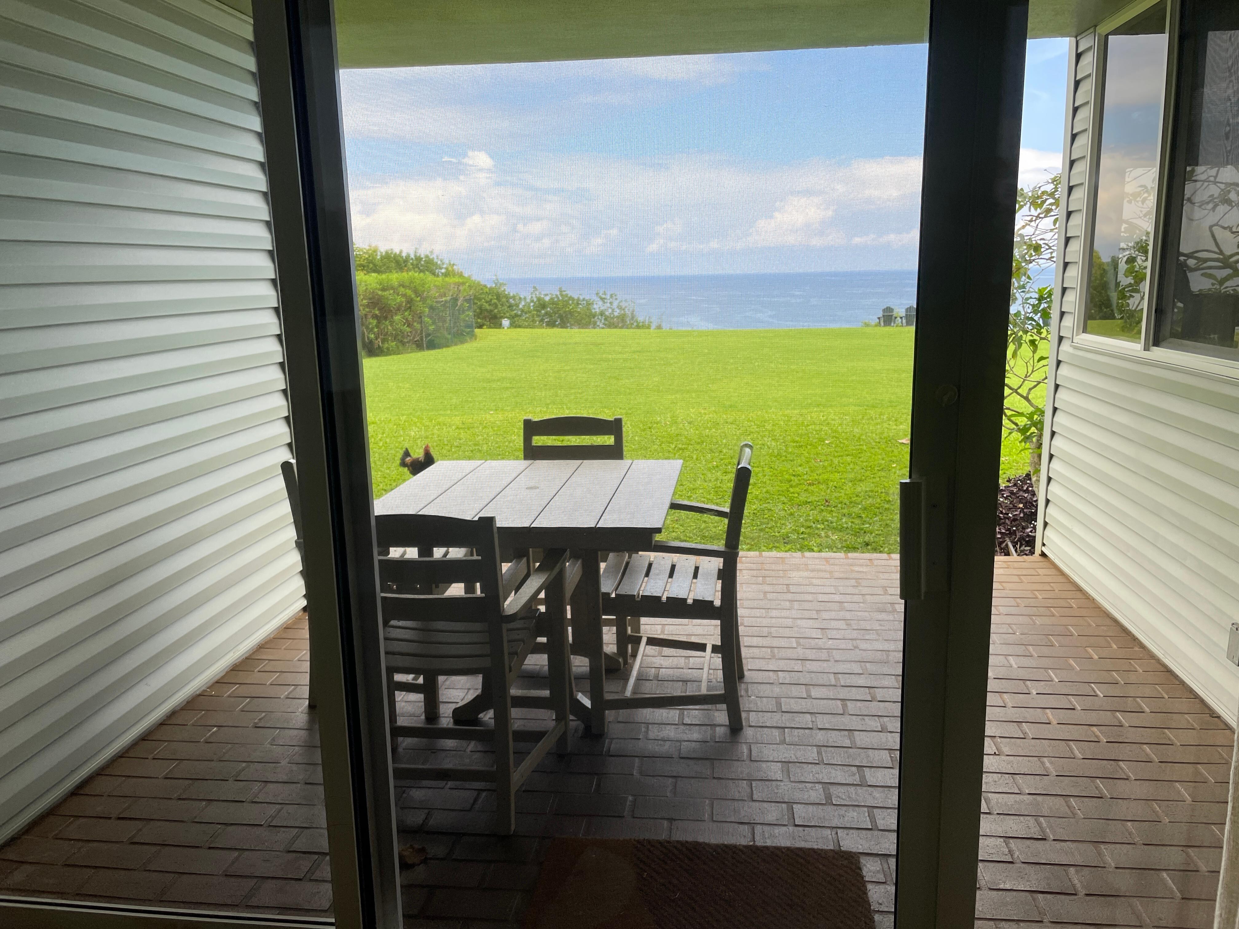 View from inside 