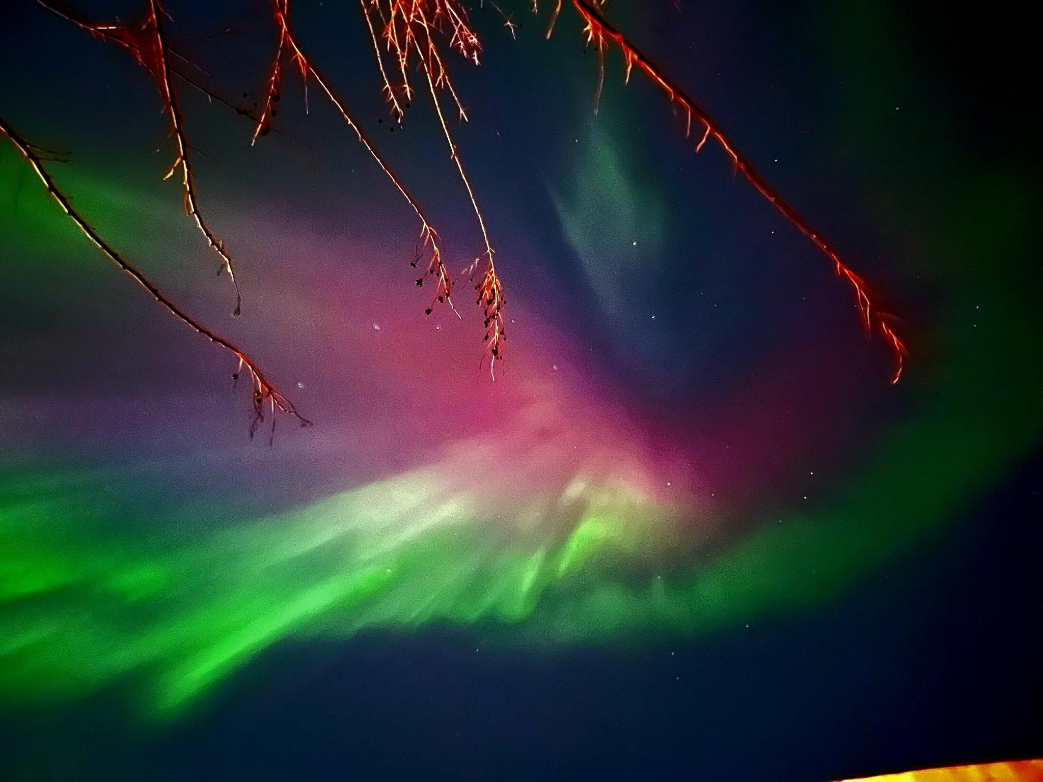 Directly above cabin 1st night. Had to look strait up