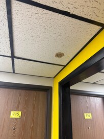 One of many moldy spots on the hallway ceiling panels. One was black mold…