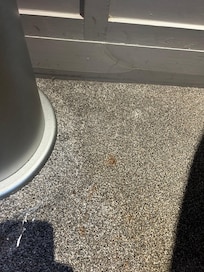 Stained carpet, maybe blood?
