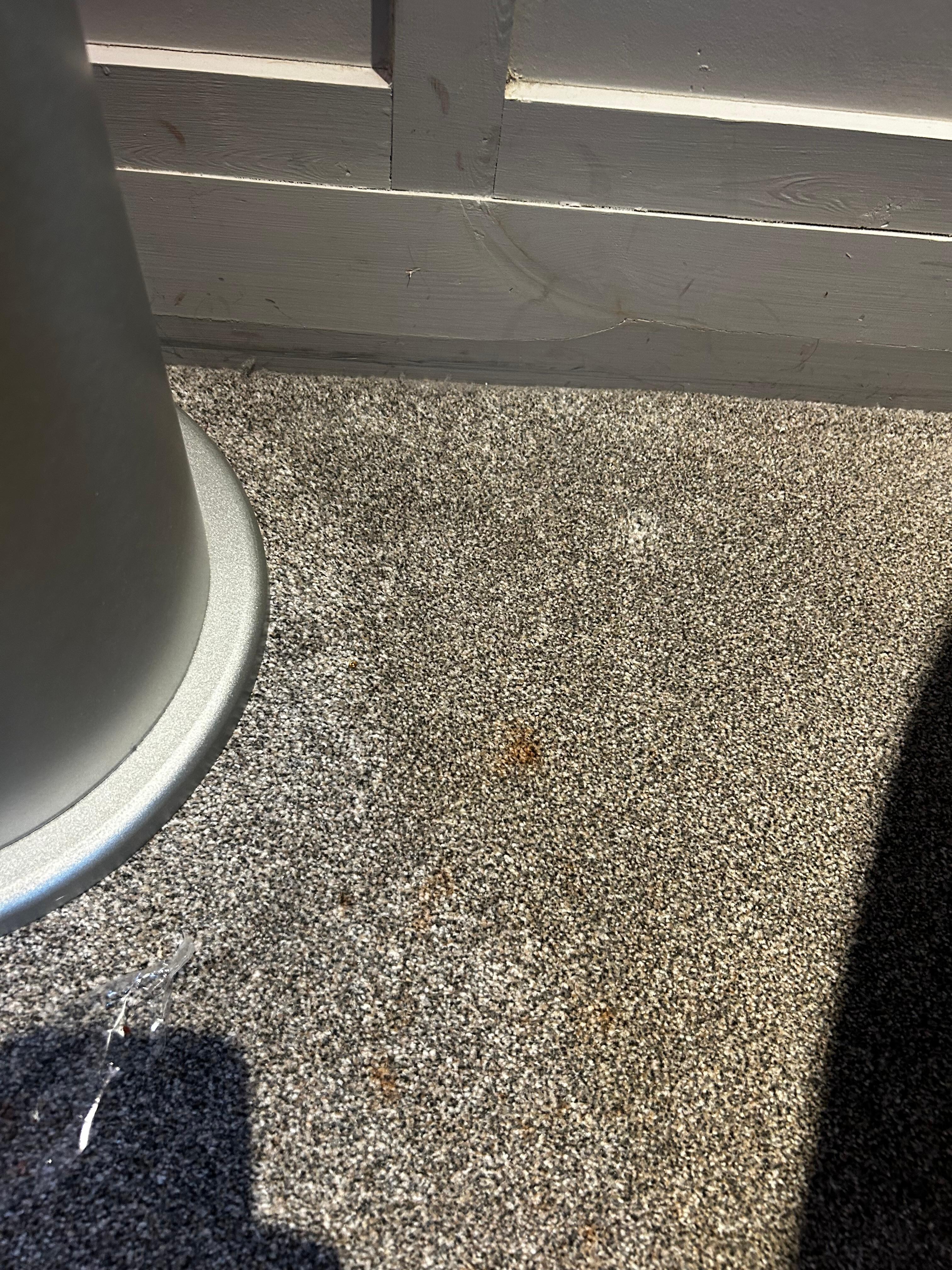 Stained carpet, maybe blood?