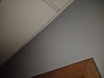 Webs