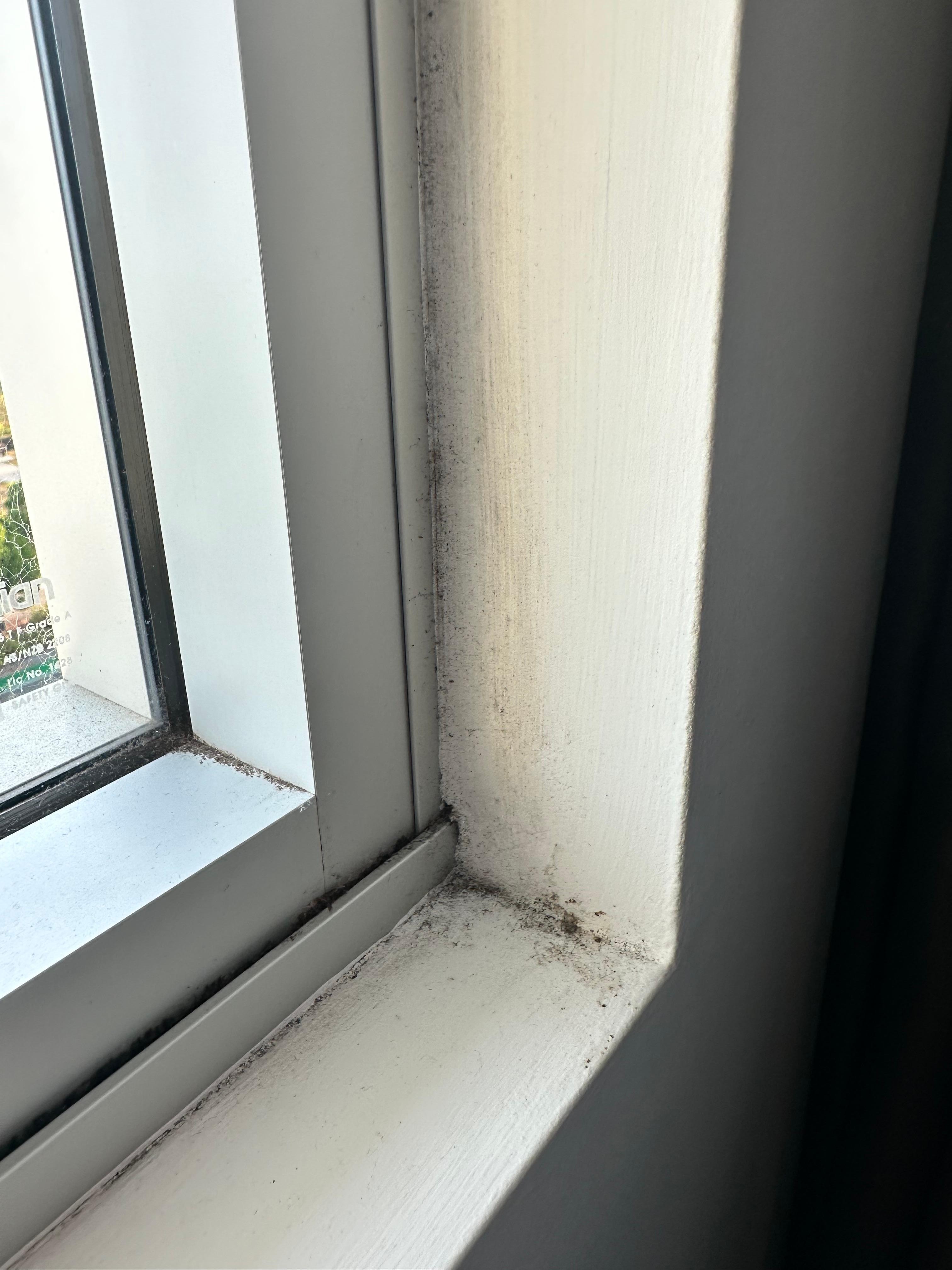 Window sill behind the curtains 