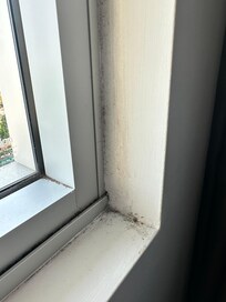 Window sill behind the curtains