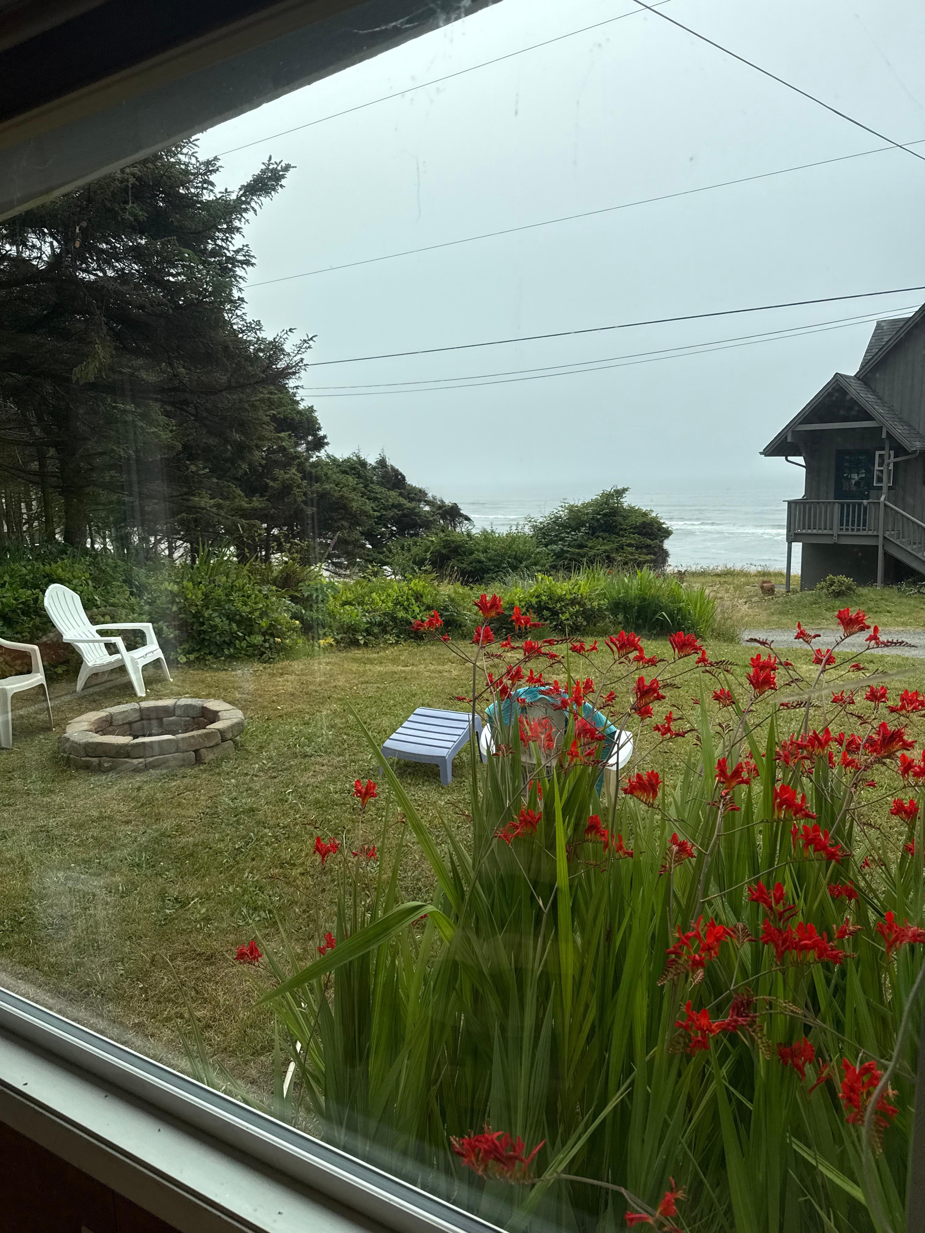 View from the dining table