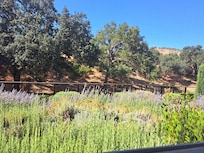 View from diningroom window and patio