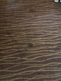Carpet stains
