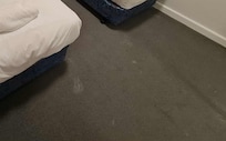 Stained carpets. Tip: Do NOT look under the beds.
