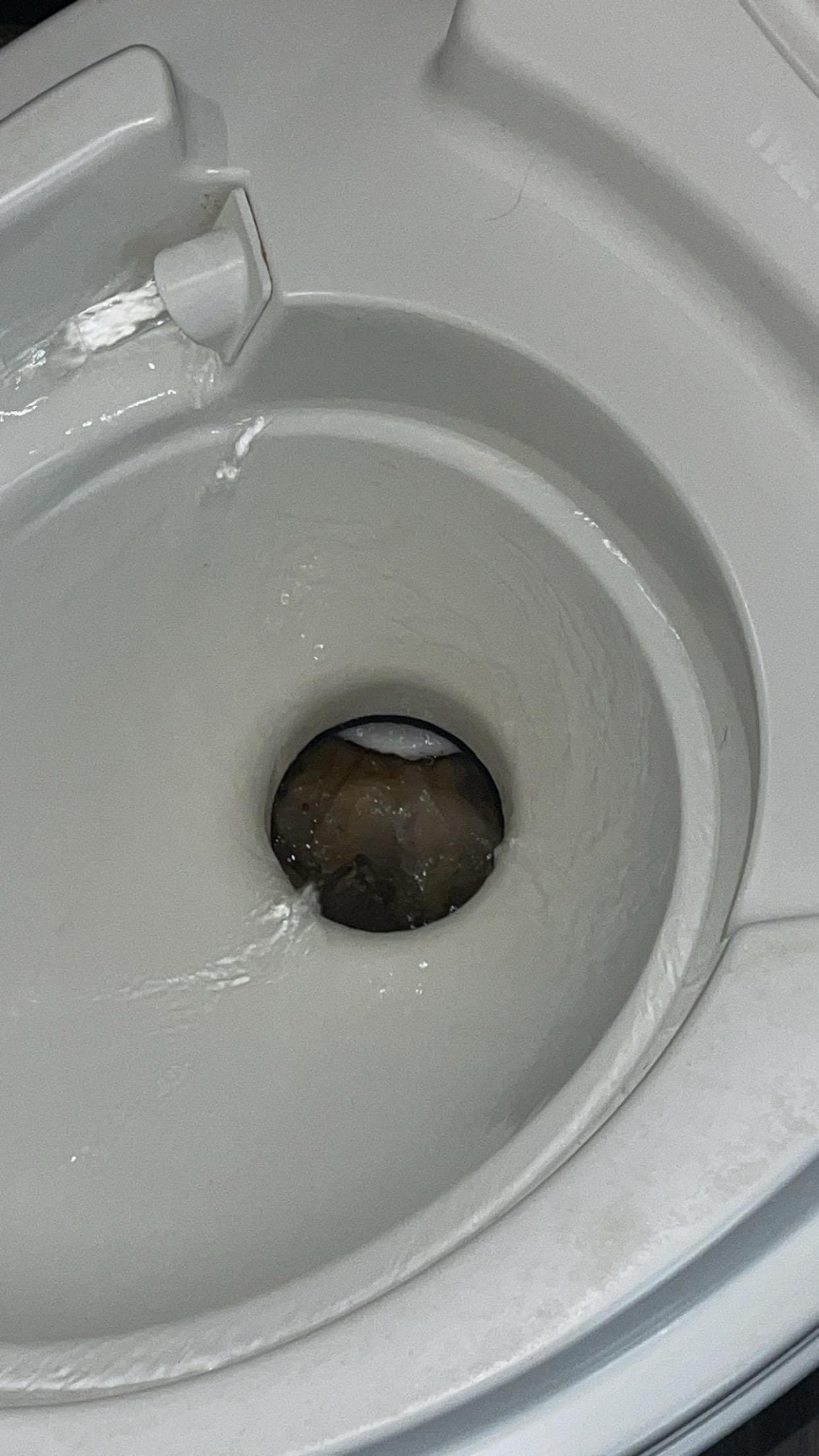 Feces behind flush plate that would not move. 