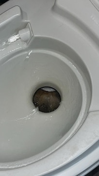 Feces behind flush plate that would not move.