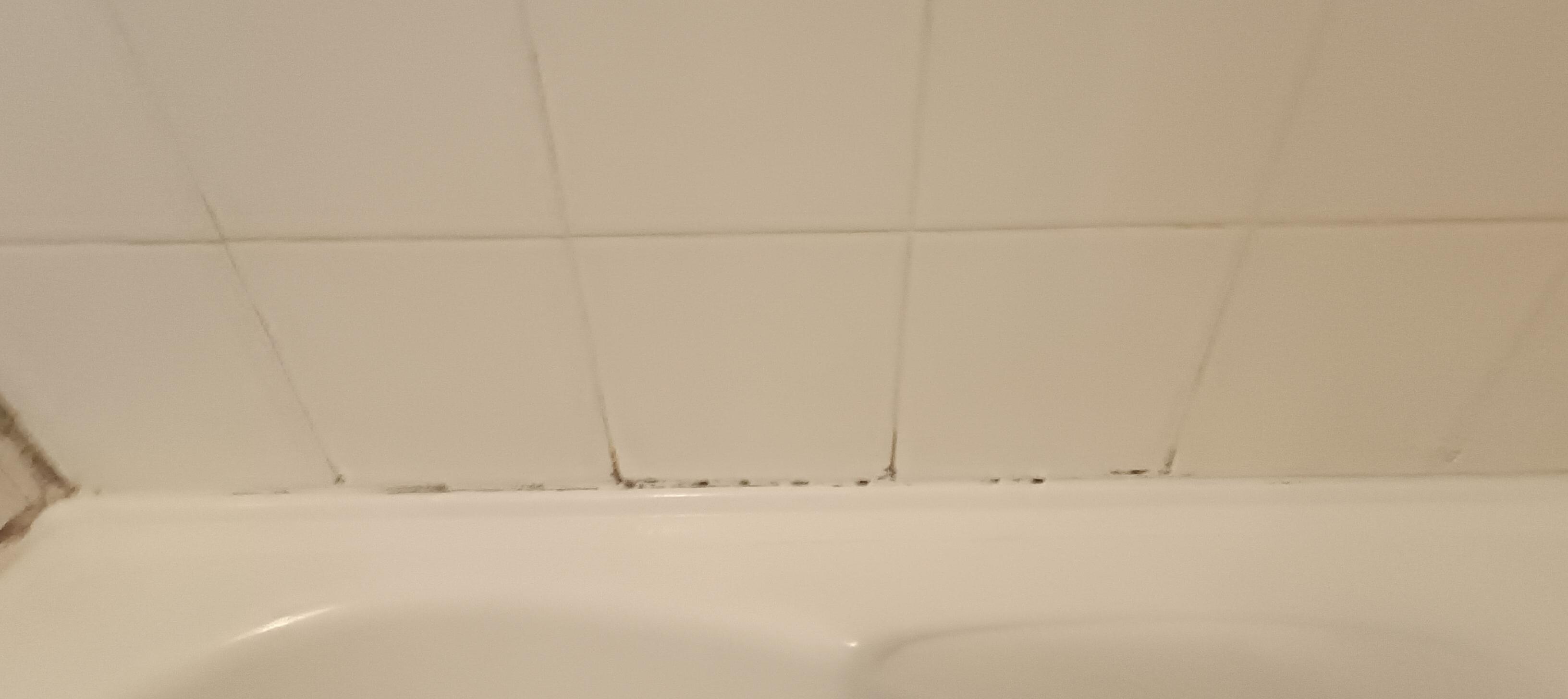Mould
