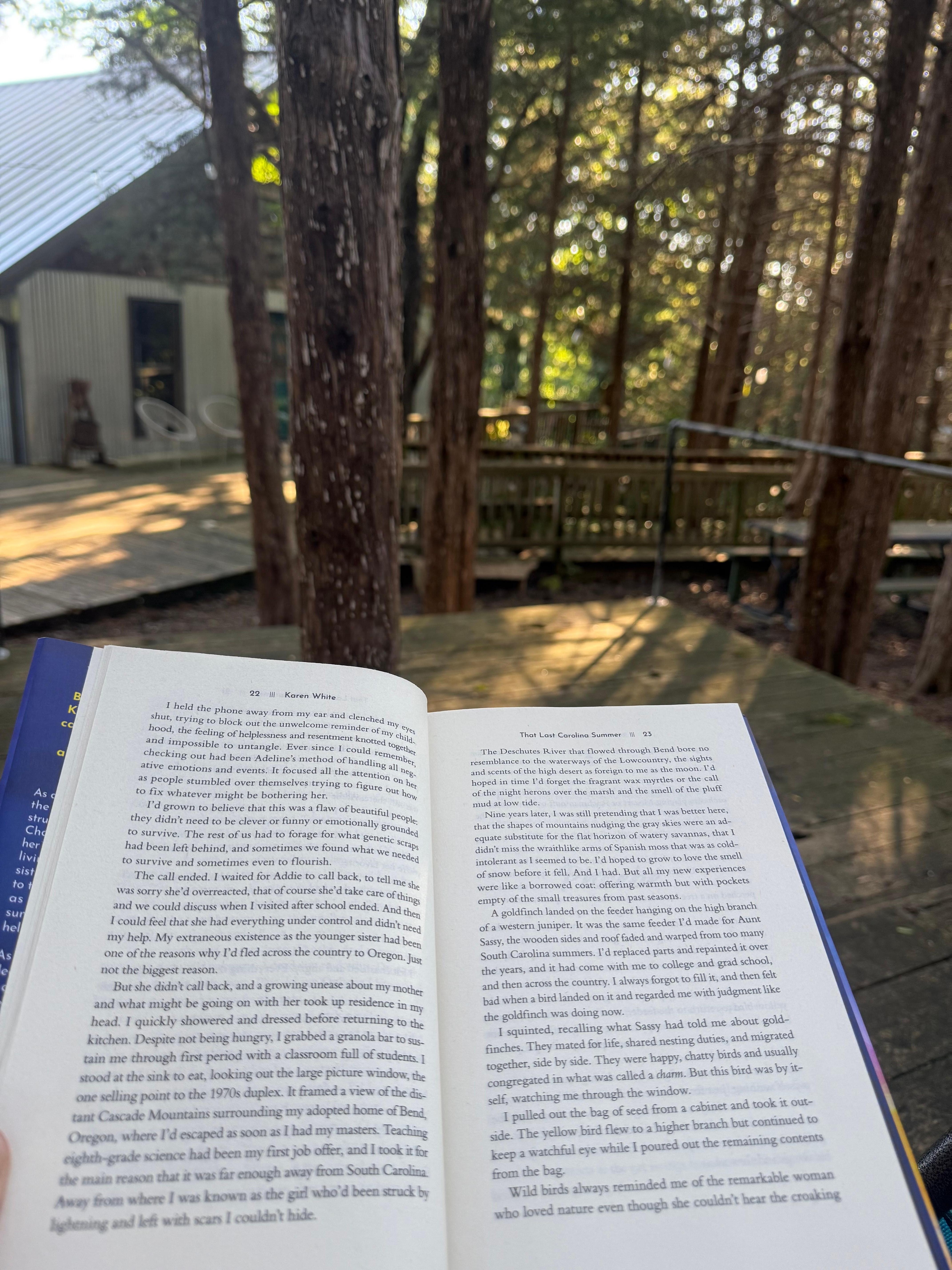Absolutely the best spot to read a good book & drink some afternoon tea 