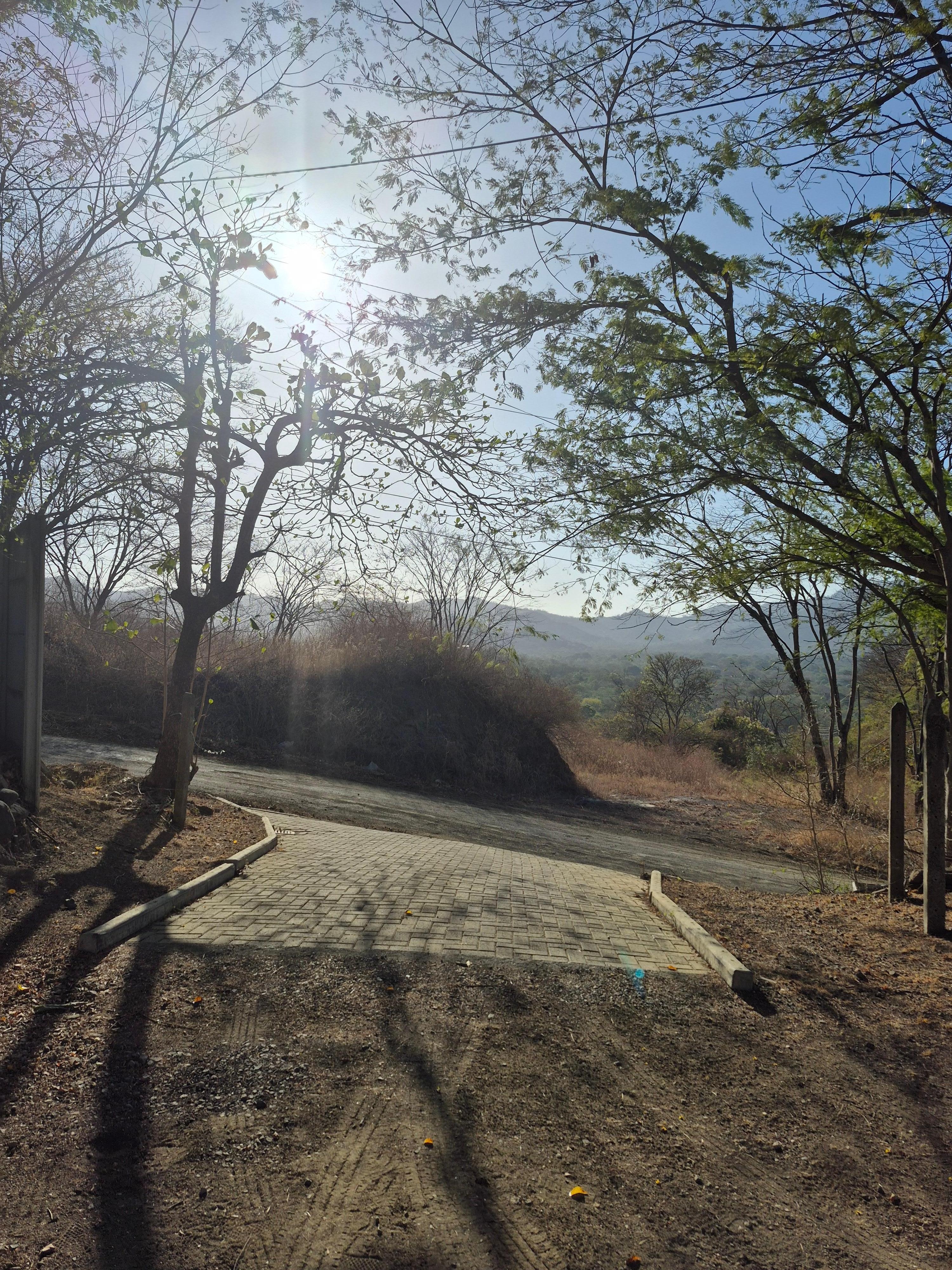 driveway looking west