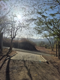 driveway looking west