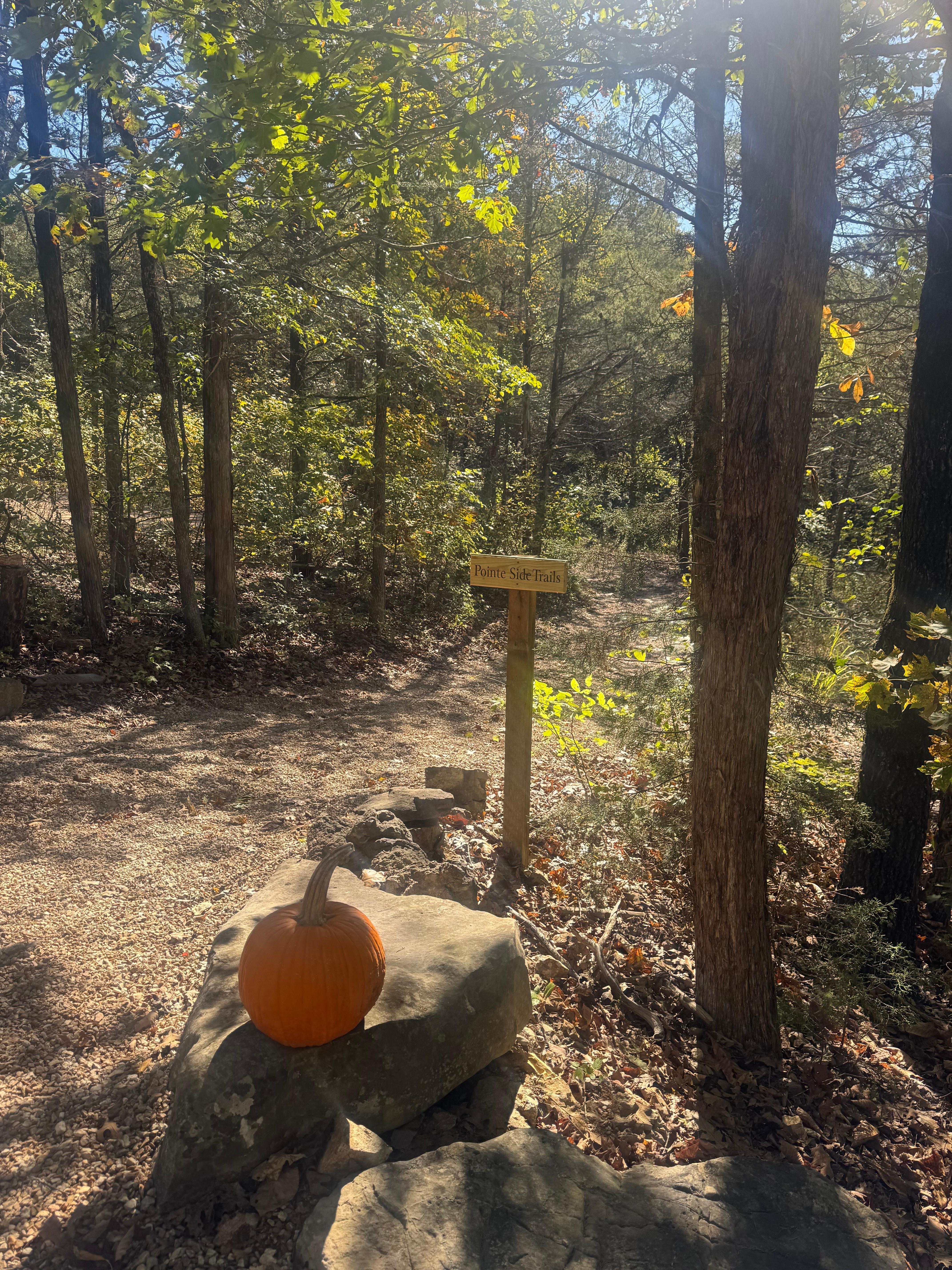 The entrance to one the hiking trails 