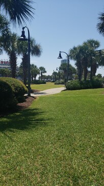 From the grounds at back