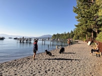 Private beach where dogs are allowed before 10 am