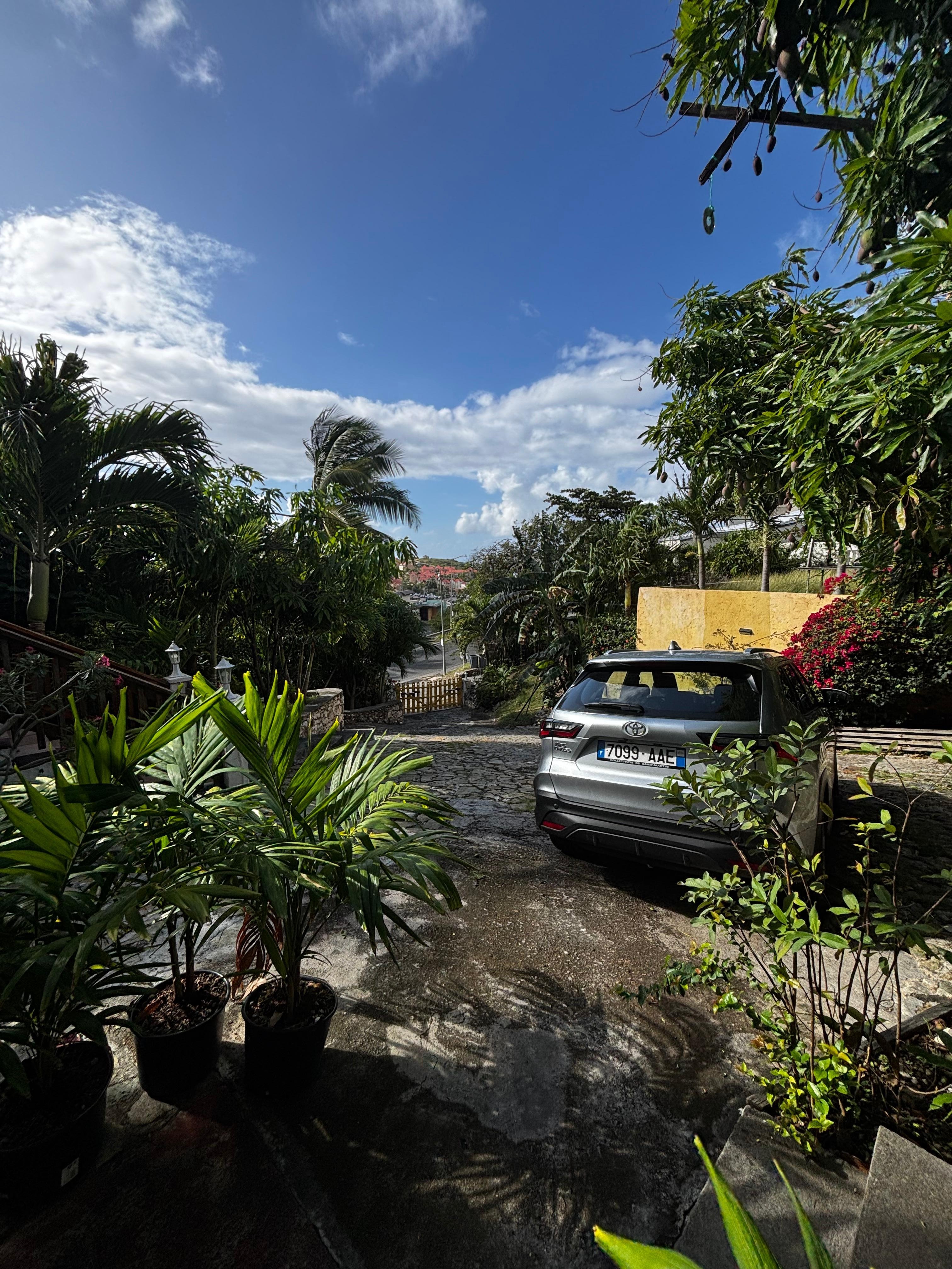 Breakfast view from the patio