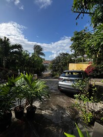 Breakfast view from the patio