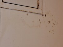 Bathroom ceiling