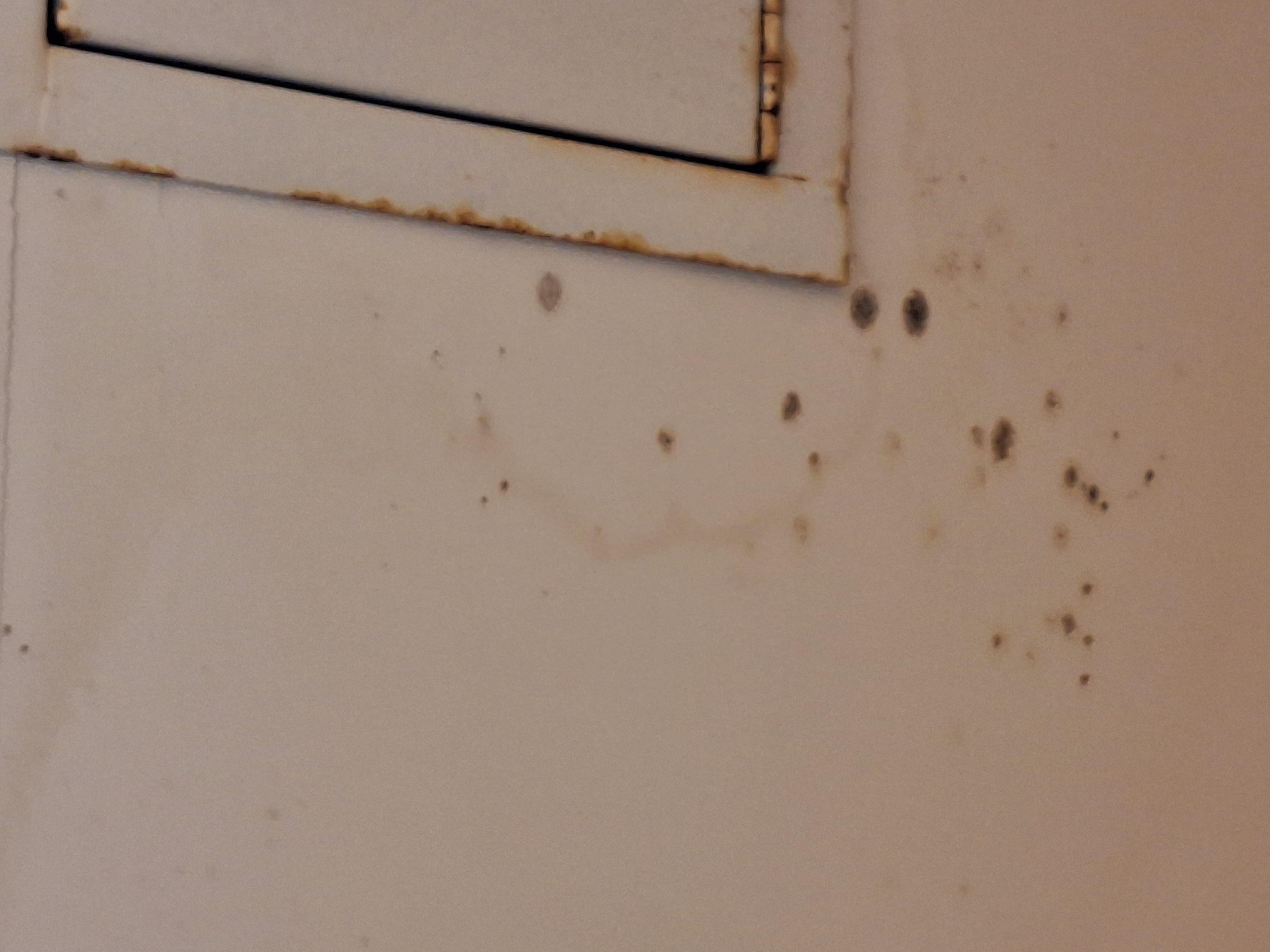 Bathroom ceiling